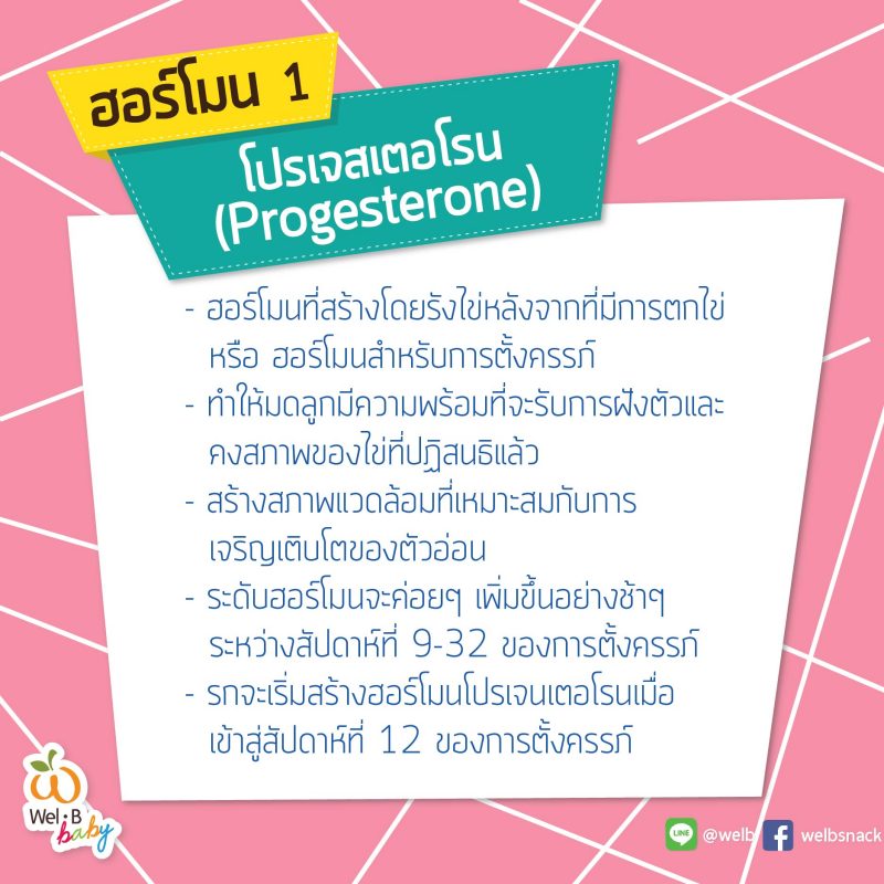 FB-post-Wel-B-คุณพ่อต้องรู้4-ฮอร์โมนที่ทำให้คุณแม่เปลี่ยนไป-03-800x800