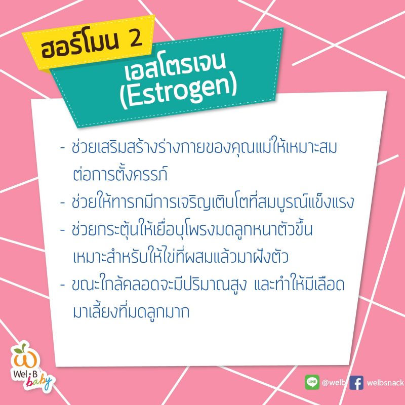 FB-post-Wel-B-คุณพ่อต้องรู้4-ฮอร์โมนที่ทำให้คุณแม่เปลี่ยนไป-04-800x800