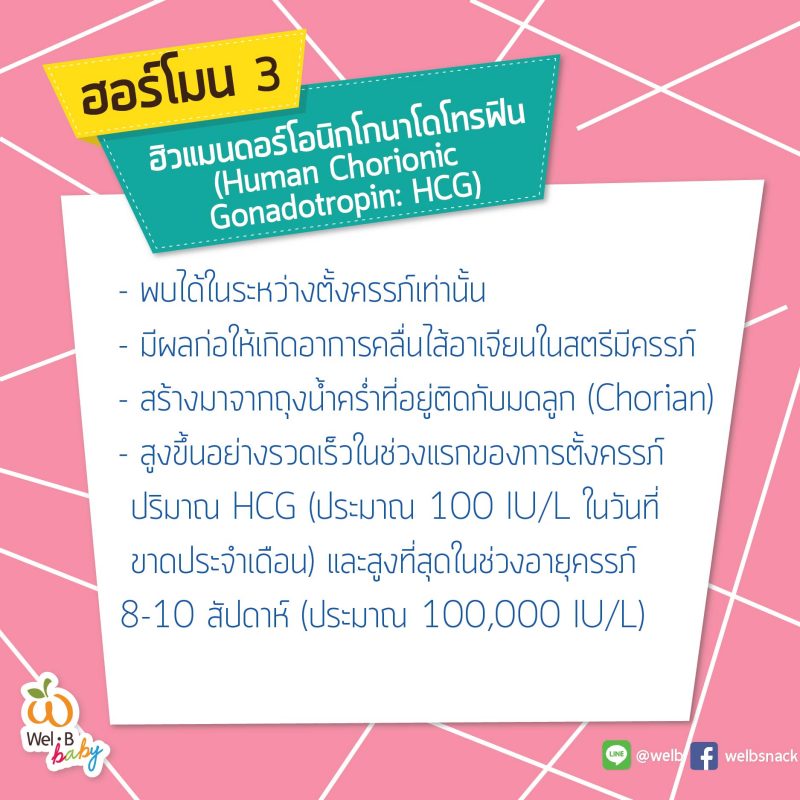 FB-post-Wel-B-คุณพ่อต้องรู้4-ฮอร์โมนที่ทำให้คุณแม่เปลี่ยนไป-05-800x800