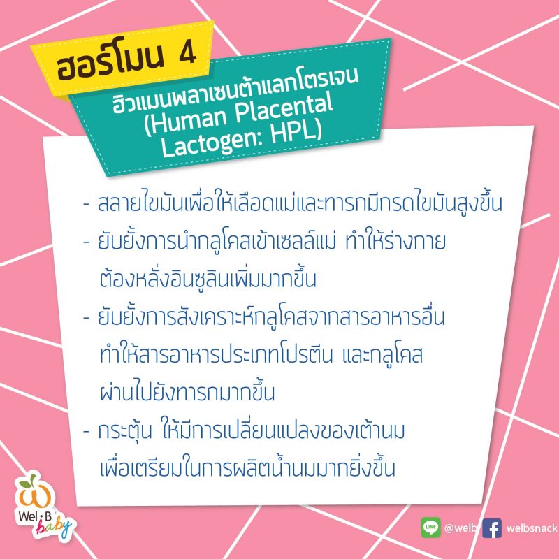 FB-post-Wel-B-คุณพ่อต้องรู้4-ฮอร์โมนที่ทำให้คุณแม่เปลี่ยนไป-06-800x800