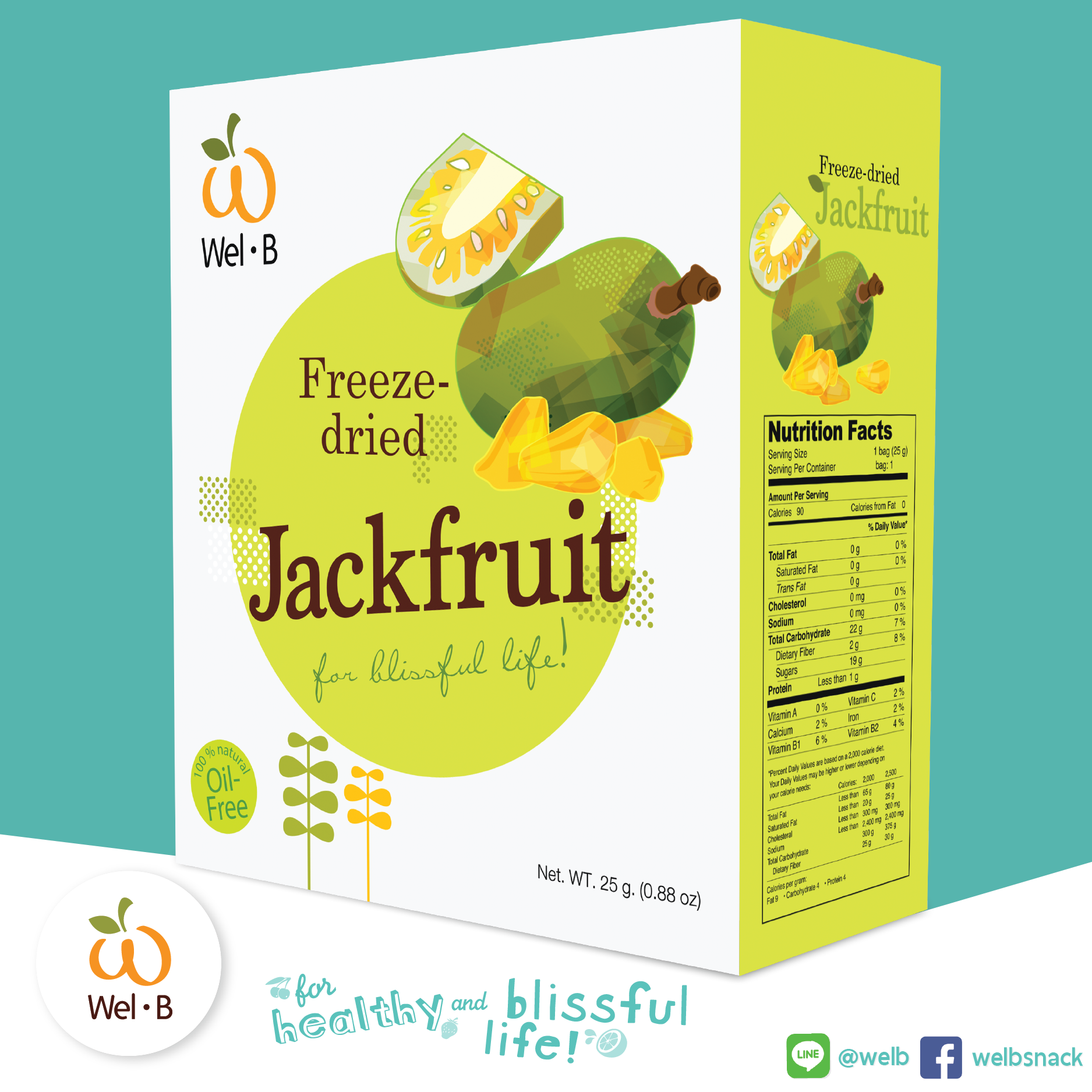 Wel-B FD Jackfruit 25g – WelB Snack