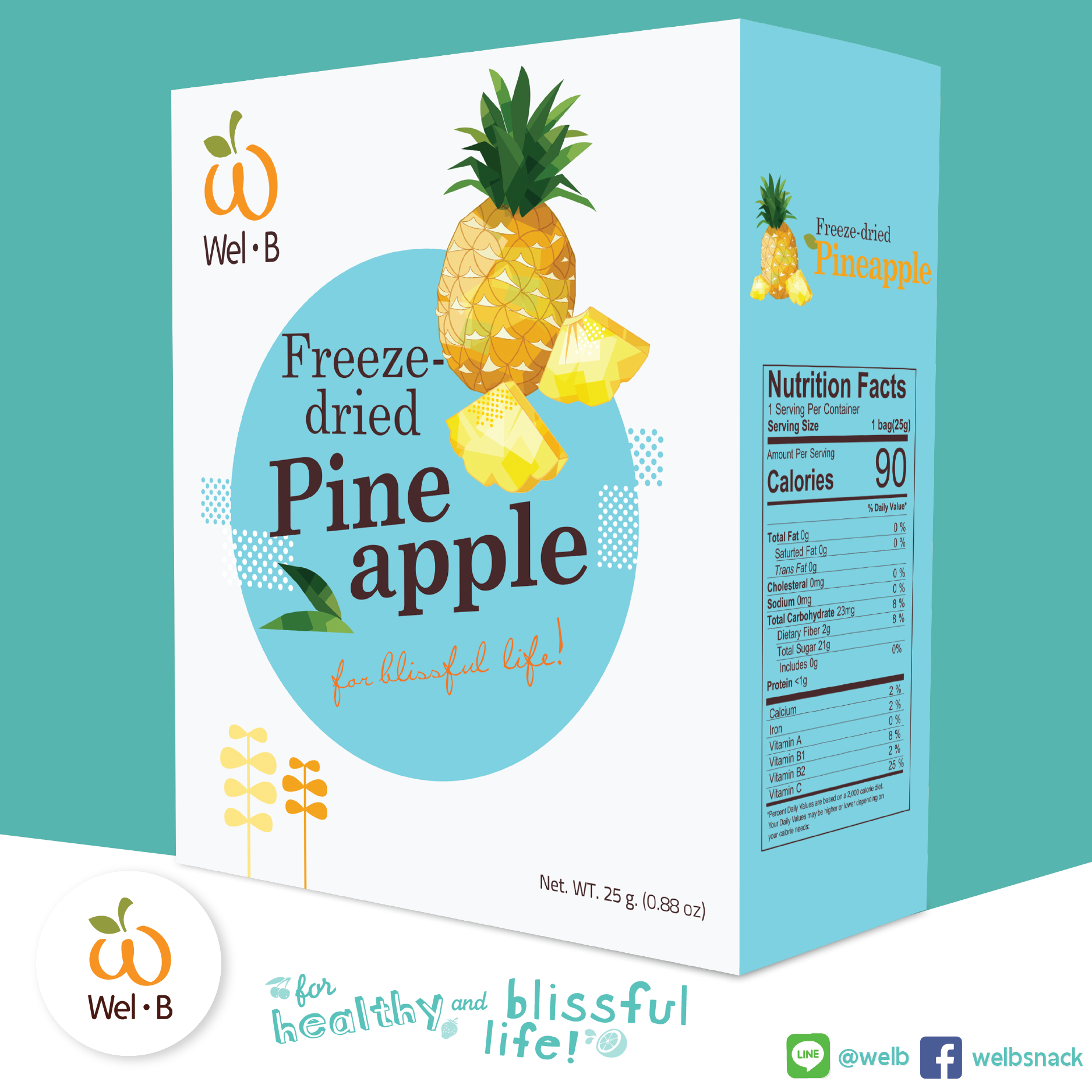 Wel-B FD Pineapple 25g. – WelB Snack